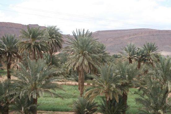 Maggaman Guest House Tafraoute Sidi Ali Esterno foto